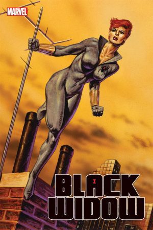 Black Widow Vol. 8 #12 Cover B