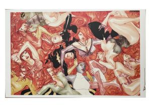 Chicago C2E2 2023 Women of DC Print Signed by Dustin Nguyen