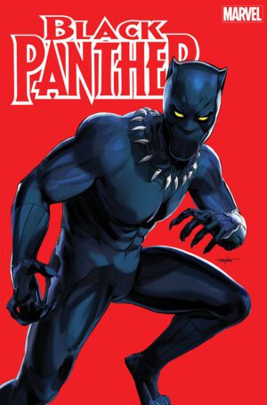 Black Panther Vol 9 #2 Cover D Variant Mike Mayhew Cover