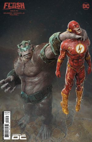 Flash Vol 6 #2 Cover C Variant Bjorn Barends Card Stock Cover