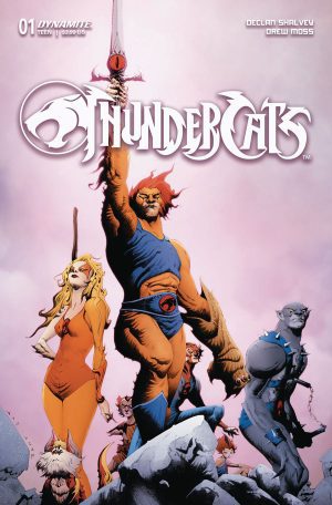 Thundercats Vol 3 #1 Cover D Variant Jae Lee & June Chung Cover