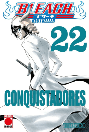 Bleach: Bestseller 22