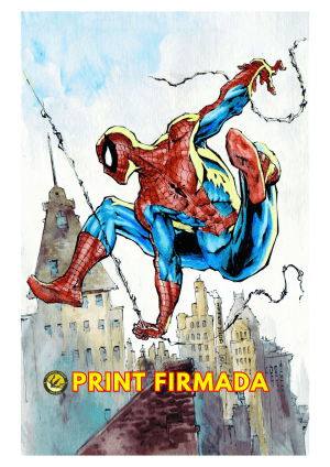 NYCC 2024 Amazing Spider-Man Print Signed by Geof Isherwood