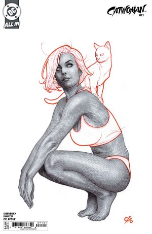 Catwoman Vol 5 #71 Cover B Variant Frank Cho Card Stock Cover (DC All In)